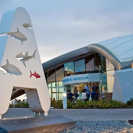 Maisonette With Backyard 아파트 세인트폴스베이